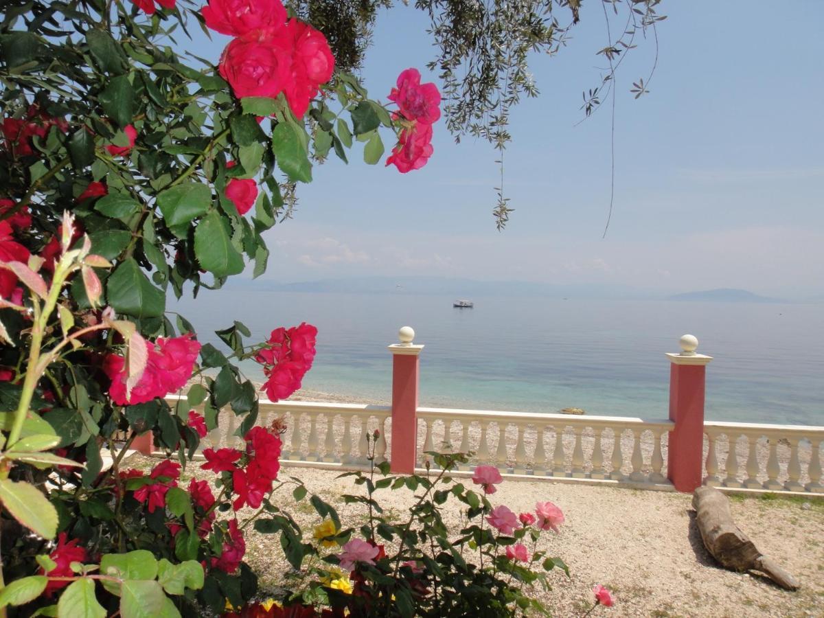 Apartments Corfu Sun Sea Side Benitses  Extérieur photo